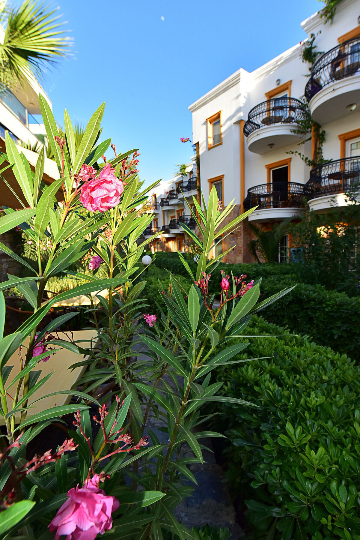 Hotel Tropicana Beach à Gümbet Extérieur photo